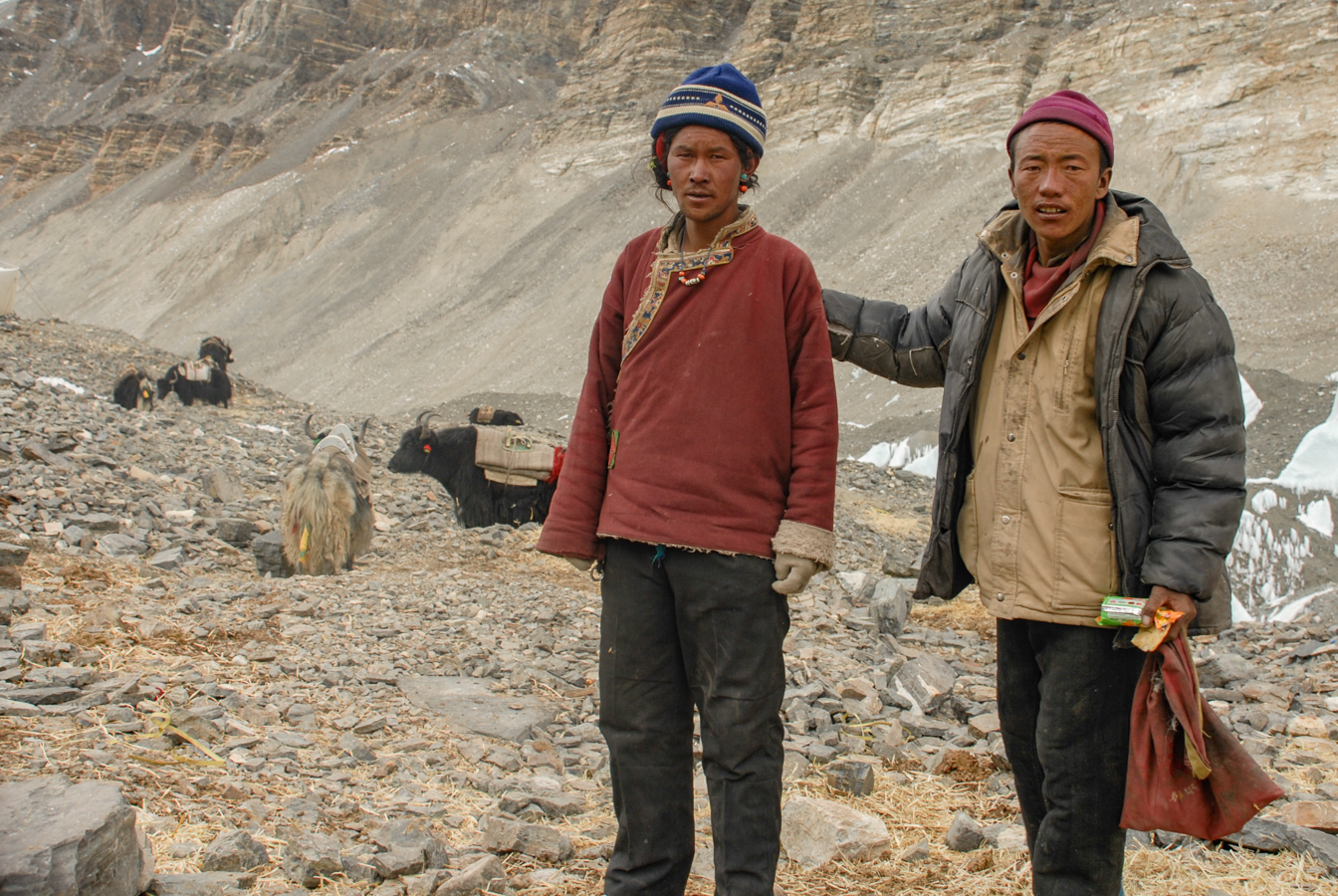 Tibetan Yak Herders